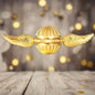 Golden Snitch Fidget Spinner - Movie-Inspired Fingertip Toy